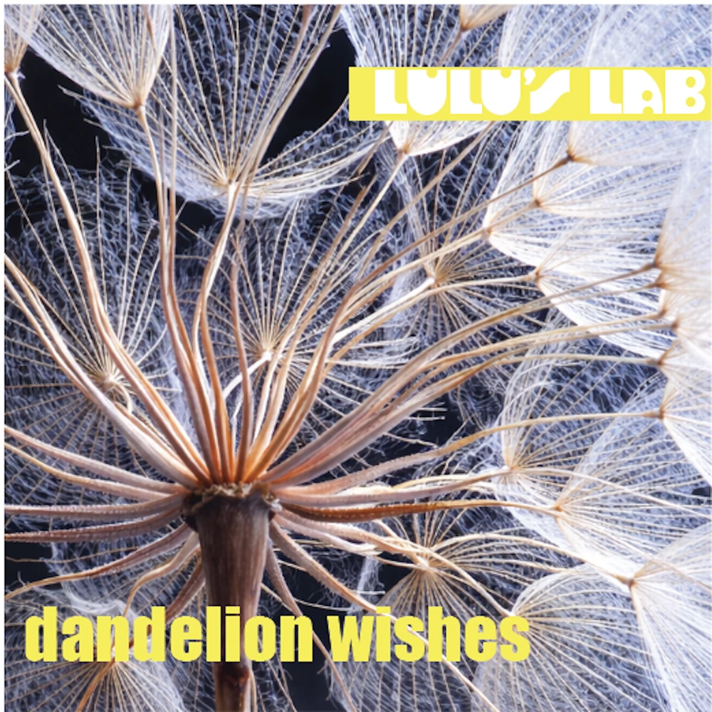 Album artwork for Dandelion Wishes